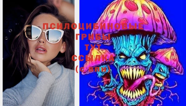 сатива Балахна