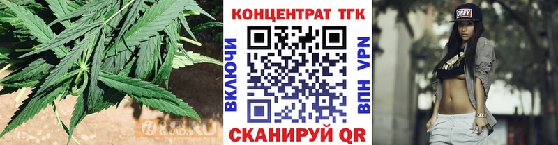 площадка состав  Володарск  ТГК концентрат 